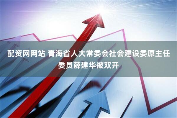配资网网站 青海省人大常委会社会建设委原主任委员薛建华被双开