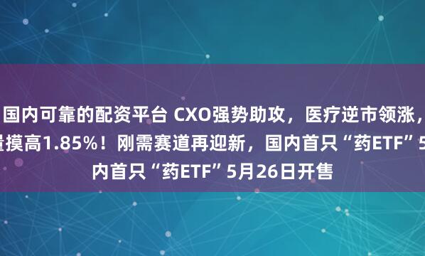 国内可靠的配资平台 CXO强势助攻，医疗逆市领涨，512170放量摸高1.85%！刚需赛道再迎新，国内首只“药ETF”5月26日开售